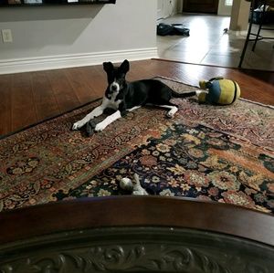 Meet your Posher, Sundaie